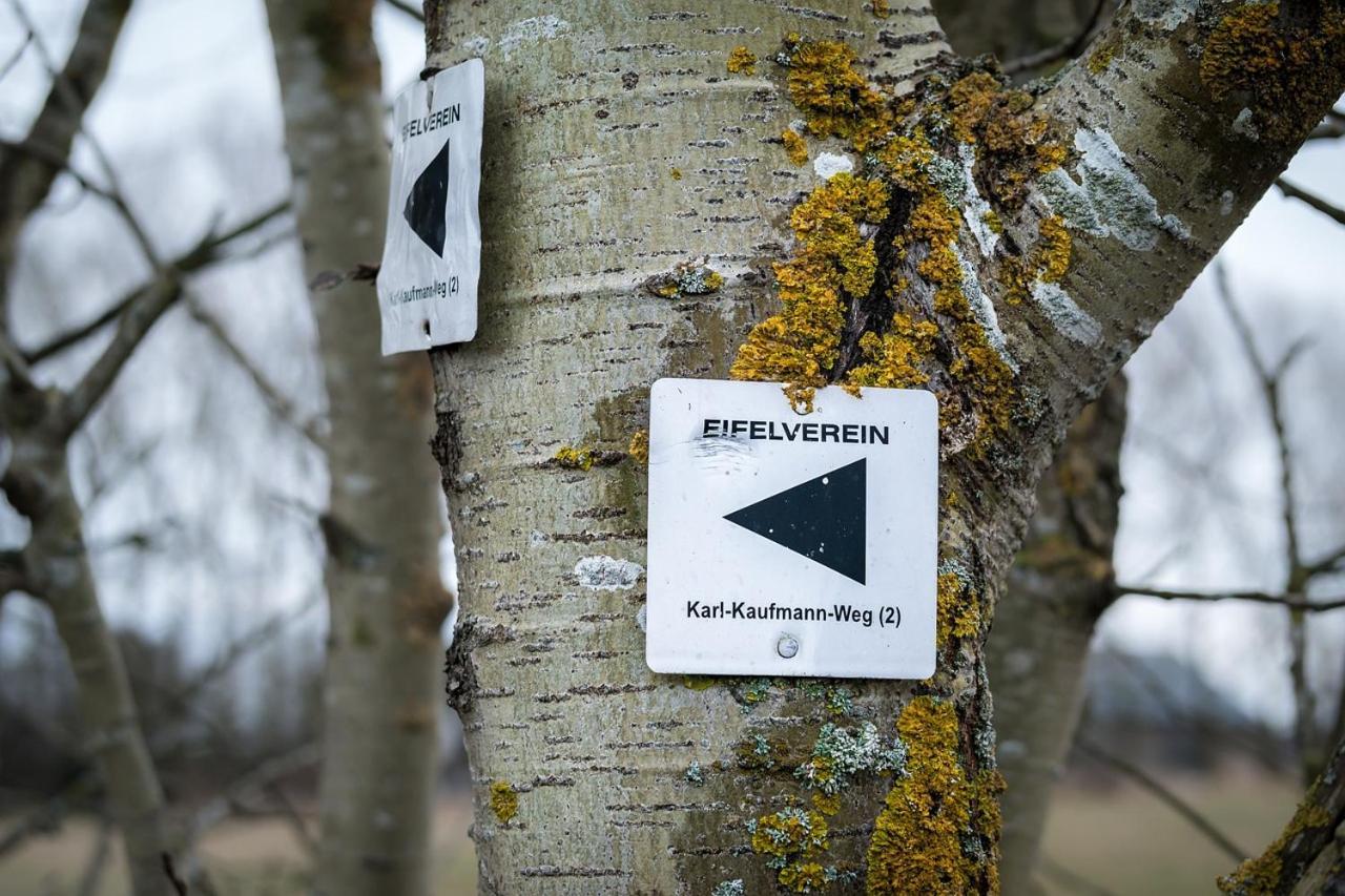 Eifel21 - Stilvolles Haus In Der Vulkaneifel Bleckhausen المظهر الخارجي الصورة